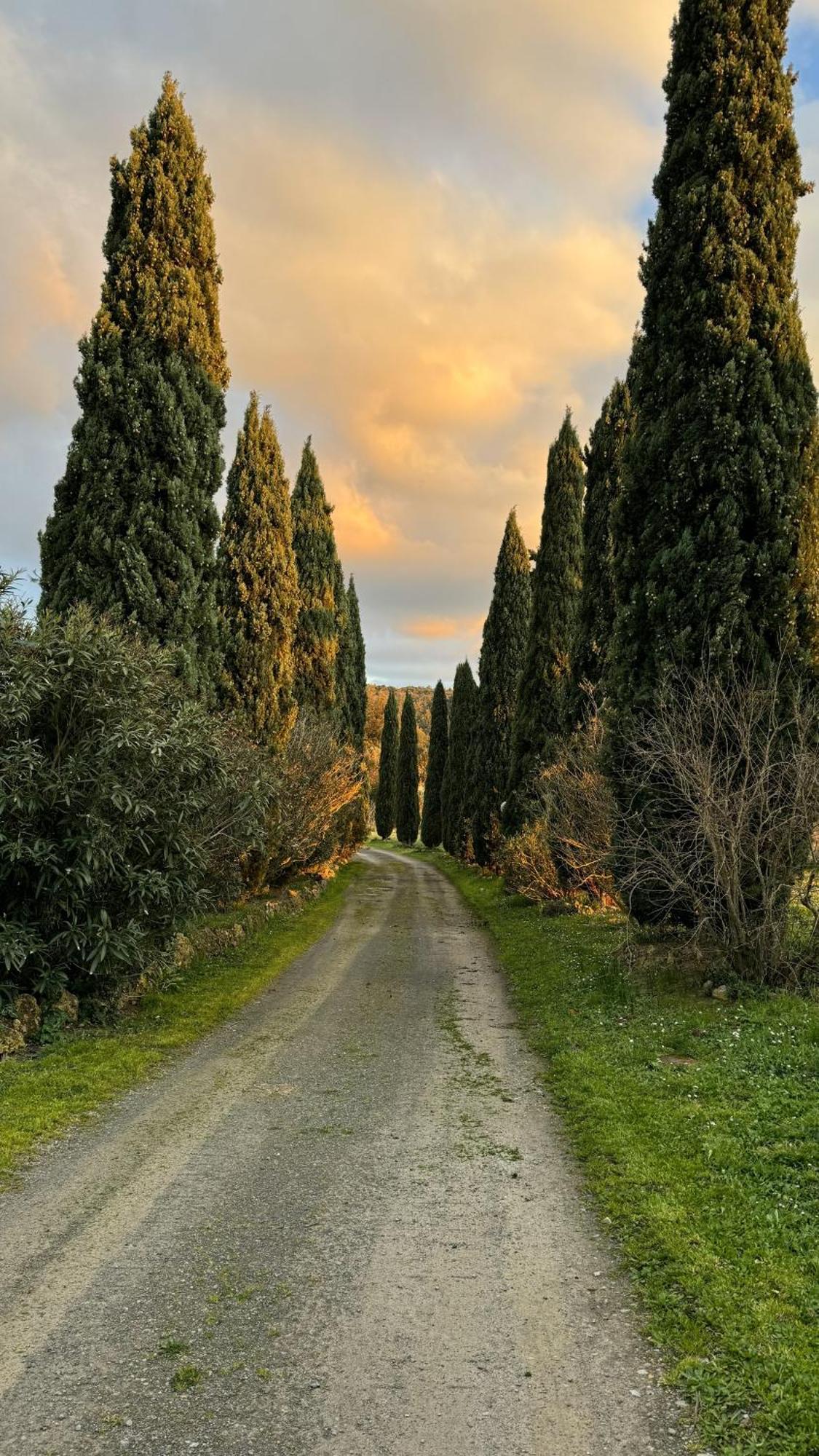 Agriturismo Soiano Famiglia Rolfini Montaione Bagian luar foto
