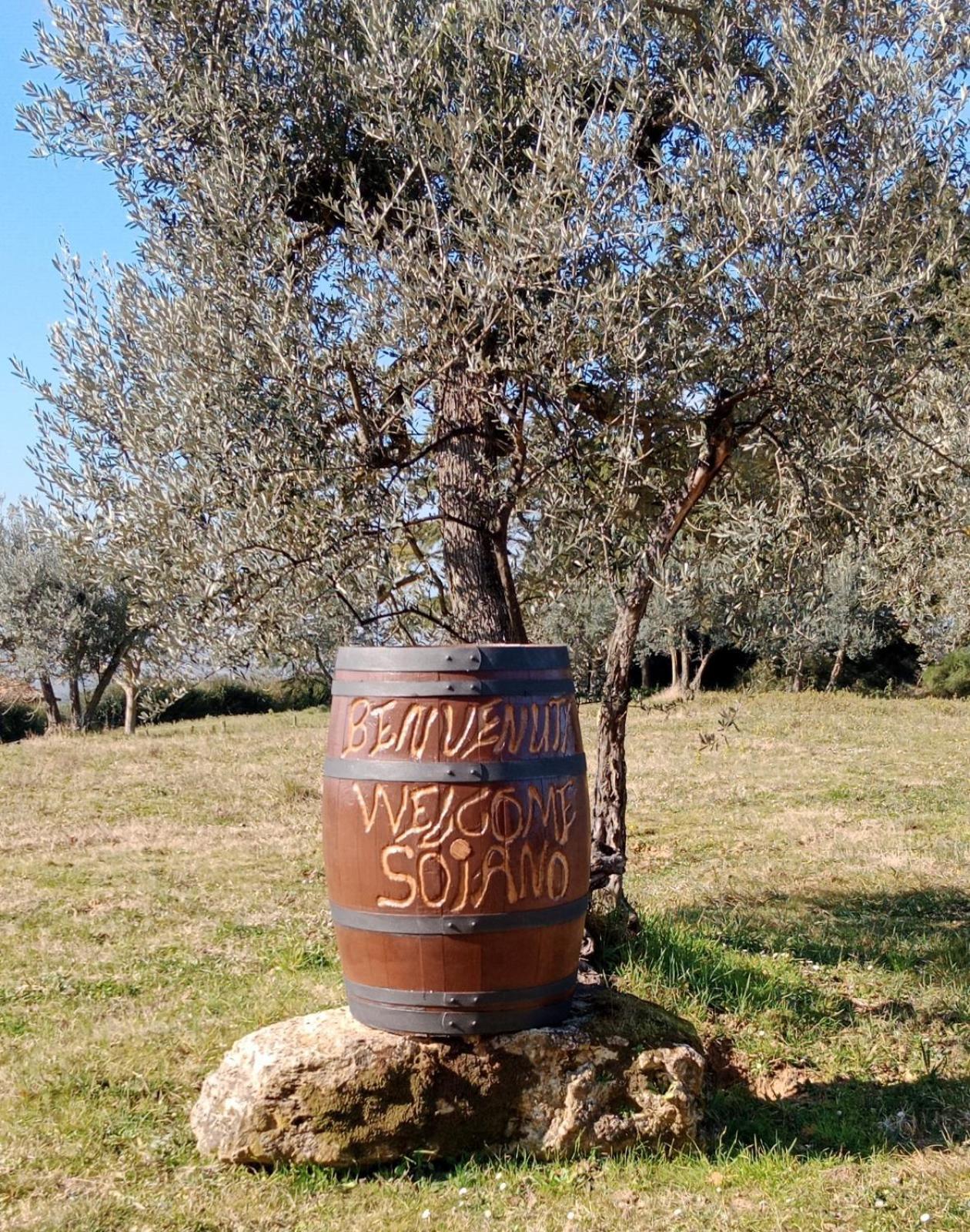 Agriturismo Soiano Famiglia Rolfini Montaione Bagian luar foto