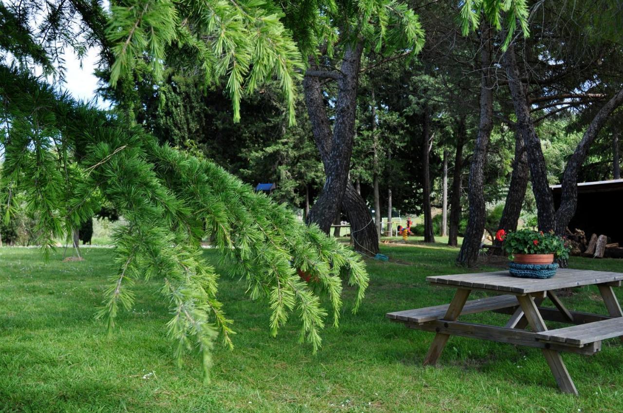 Agriturismo Soiano Famiglia Rolfini Montaione Bagian luar foto